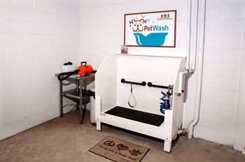 Pet wash